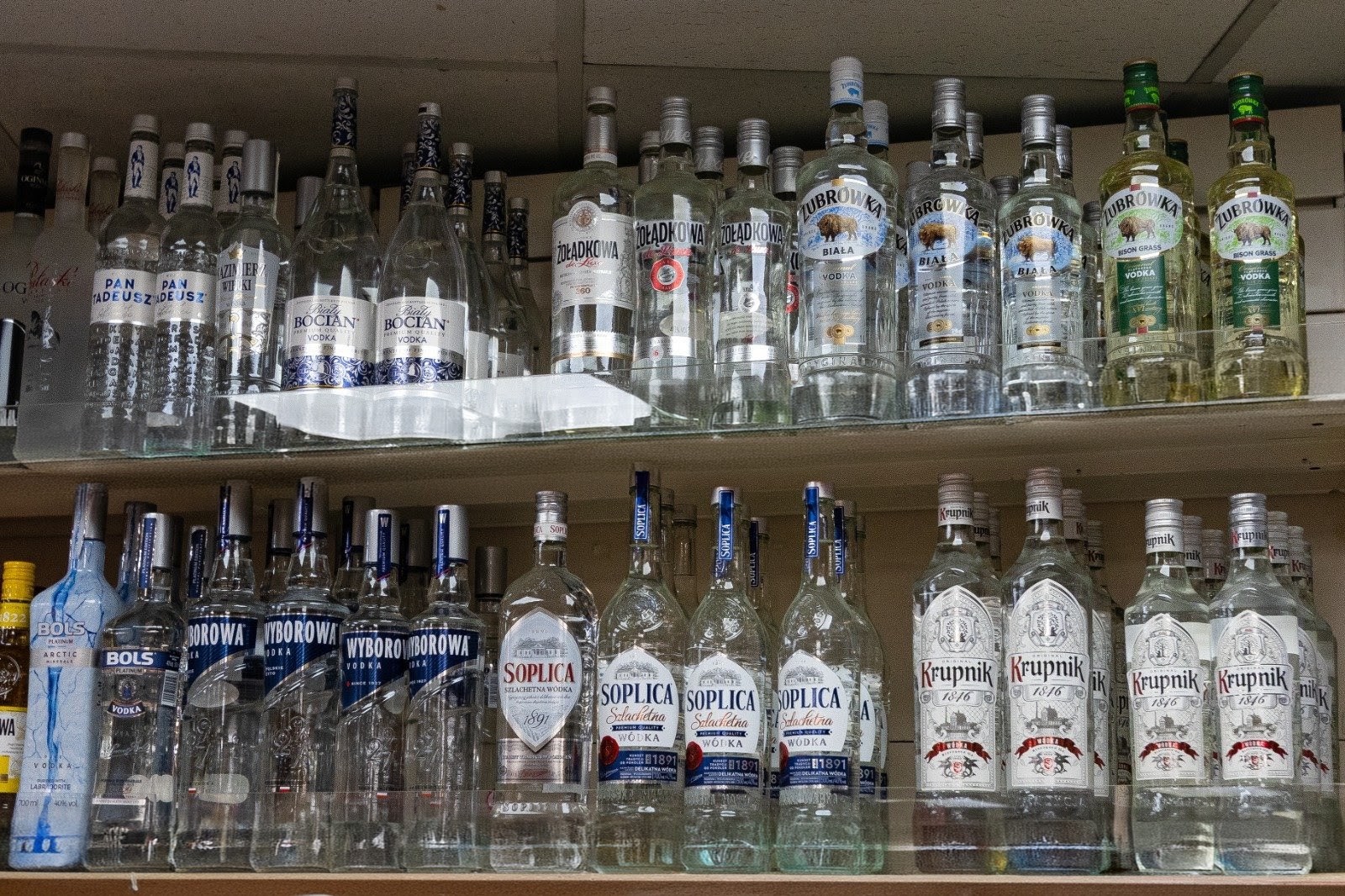 Polish vodkas, liqueurs, beers and wines on the shop's alcohol shelves 1